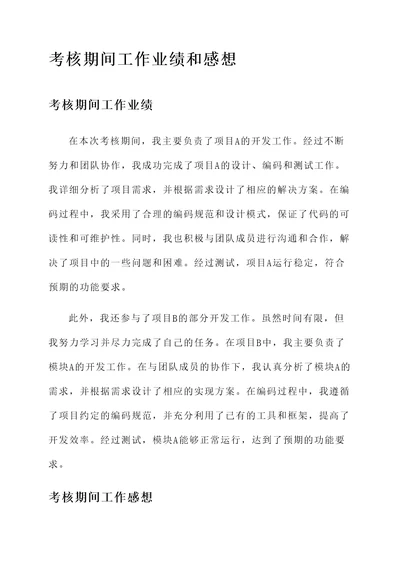 考核期间工作业绩和感想