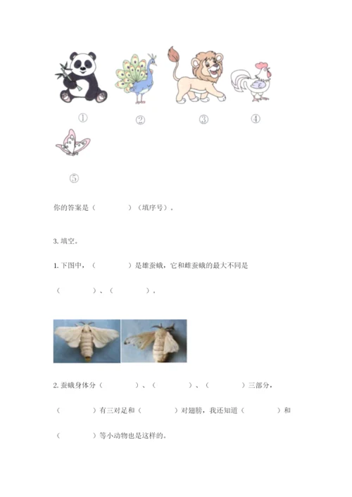 教科版科学三年级下册期末测试卷及答案（全优）.docx