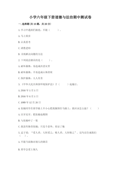 小学六年级下册道德与法治期中测试卷精品【能力提升】.docx