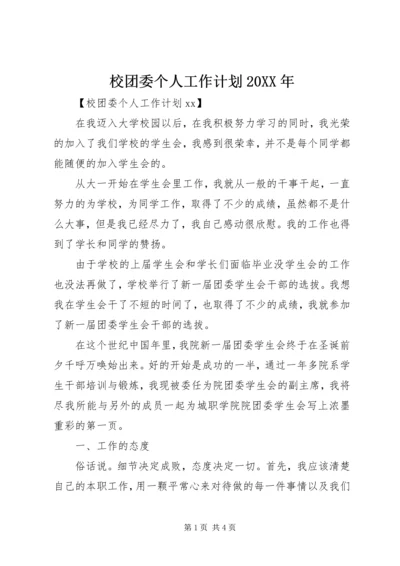 校团委个人工作计划20XX年.docx