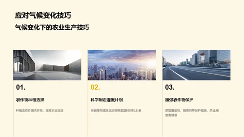 寒露农事与科学应对