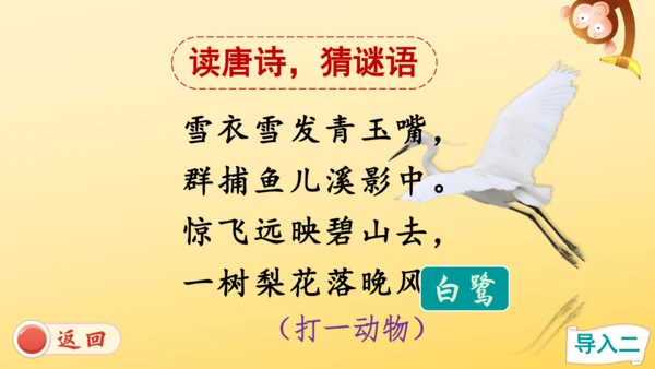 1 白鹭   课件