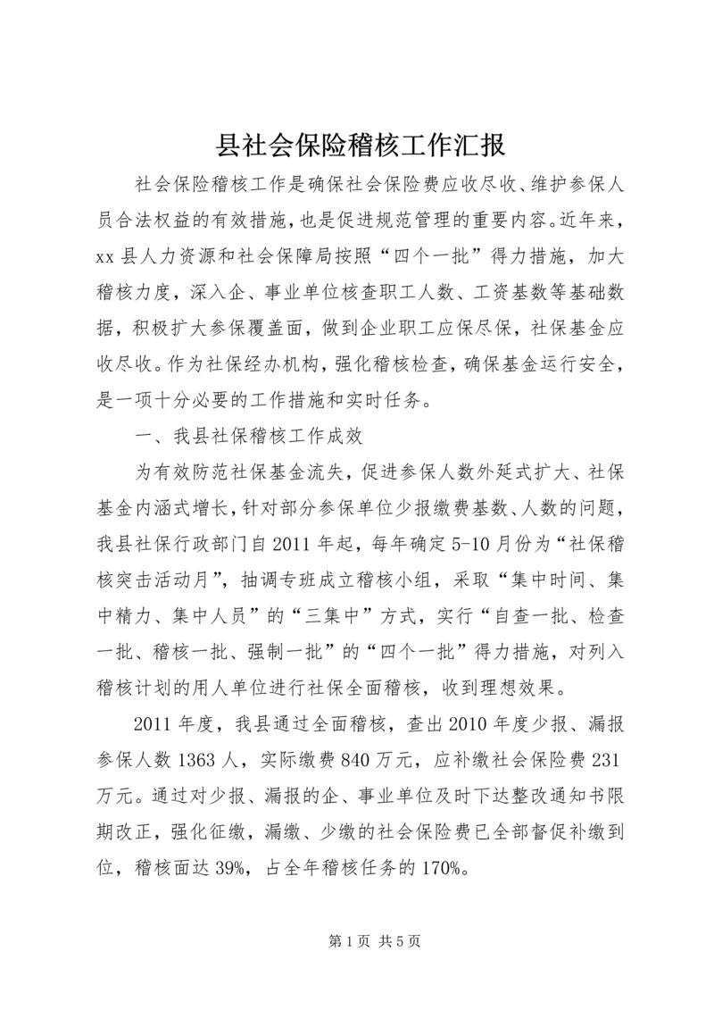 县社会保险稽核工作汇报.docx