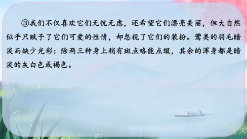 19《大雁归来》课件