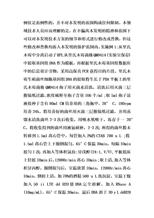 源于里氏木霉的强启动子及其表达载体和应用的制作方法