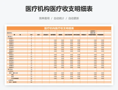 医疗机构医疗收支明细表