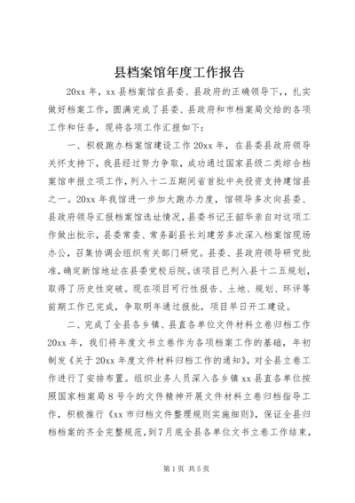 县档案馆年度工作报告.docx