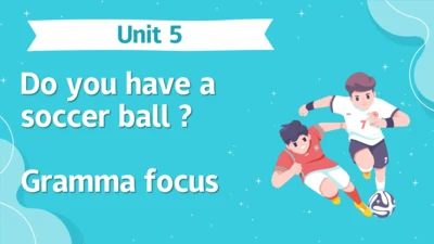 Unit 5 Grammar Focus课件 （人教新目标七年级上册Unit 5 Do you ha