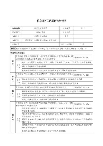 通信行业市场经营部信息分析团队长岗位专项说明书