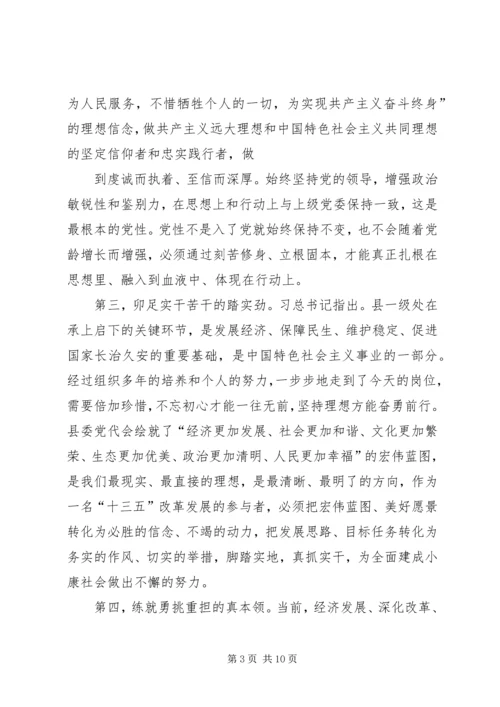 县委领导“两学一做”第二专题学习研讨会发言材料.docx