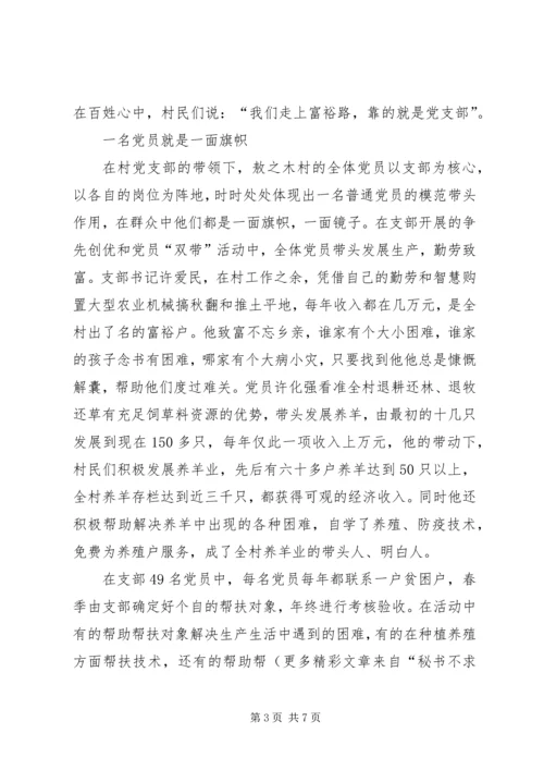 村党支部经验材料 (5).docx