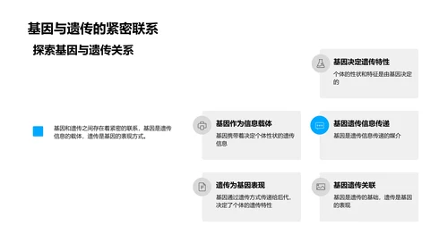 基因与遗传教学PPT模板