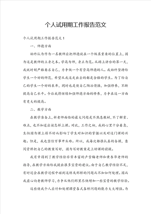 个人试用期工作报告范文