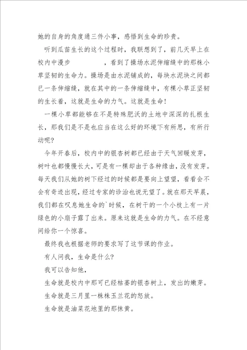 一班级语文识字教学工作随笔