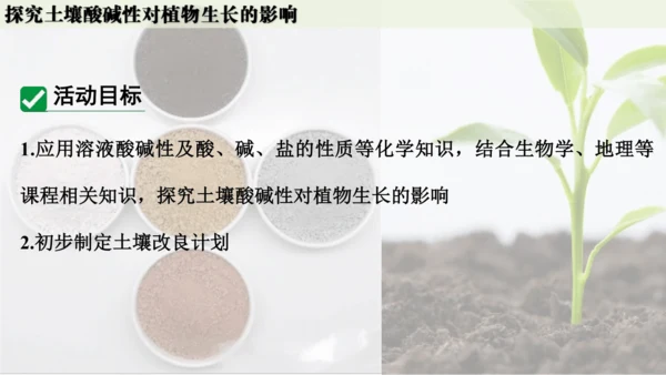 跨学科实践活动9  探究土壤酸碱性对植物生长的影响课件(共33张PPT)