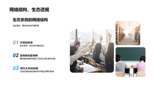 探索生态系统