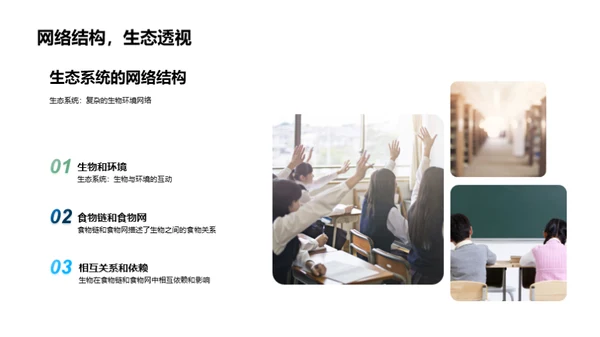 探索生态系统