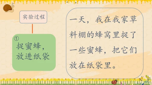 14《蜜蜂》课件