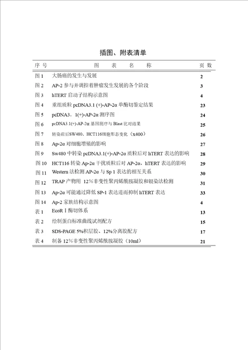 结肠癌细胞中ap2抑制htert表达的实验研究