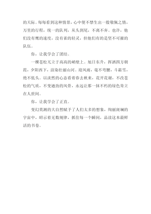 你是我的一本书作文700字-2.docx