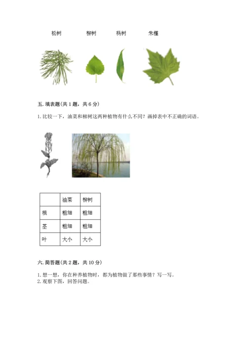 教科版科学一年级上册第一单元《植物》测试卷精品【预热题】.docx