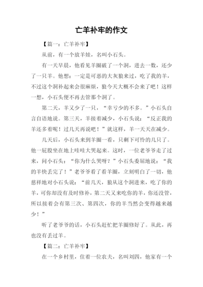 亡羊补牢的作文.docx