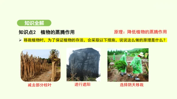 第三单元-第二章-第一节-水的利用与散失课件-2024-2025学年七年级生物下学期人教版(2024