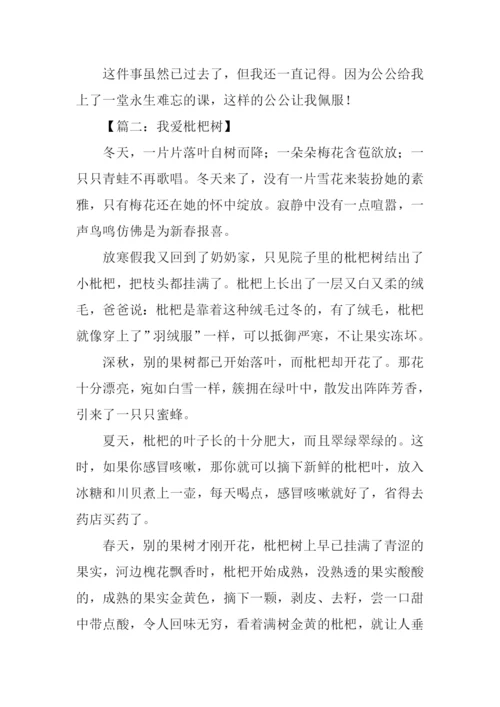 枇杷树作文600字.docx