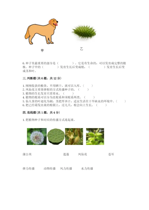 科学四年级下册第一单元植物的生长变化测试卷含完整答案【各地真题】.docx