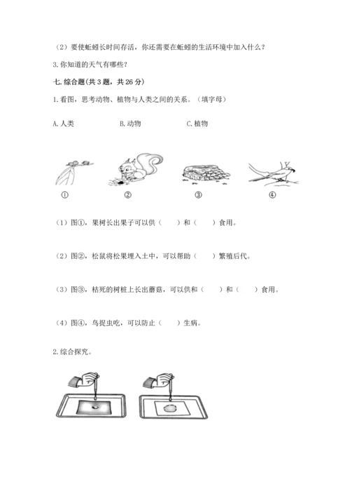 教科版二年级上册科学期末测试卷及参考答案【典型题】.docx