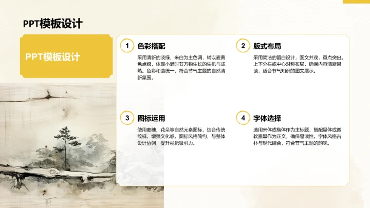 二十四节气小满PPT模板