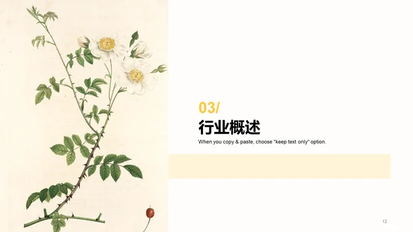 黄色商务现代艺术广告研究报告