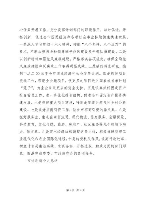 市计划局个人总结 (5).docx