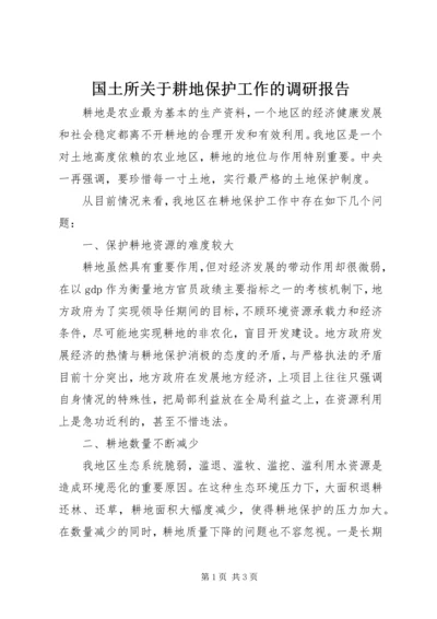 国土所关于耕地保护工作的调研报告 (2).docx