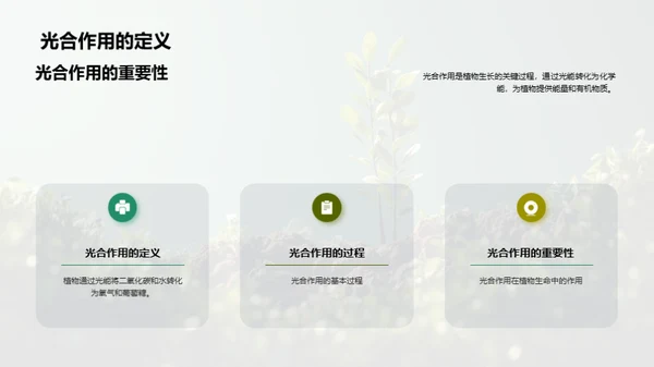 揭秘植物生长之谜