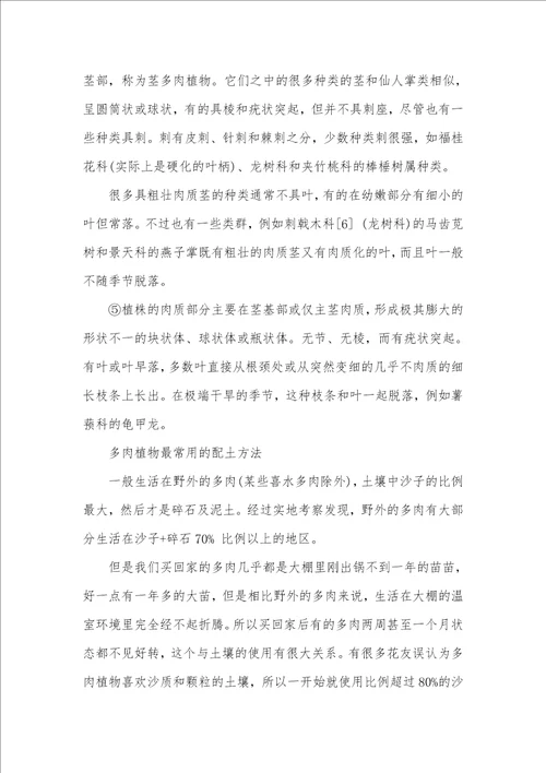 多肉绿美人种植方法 绿美人植物图片