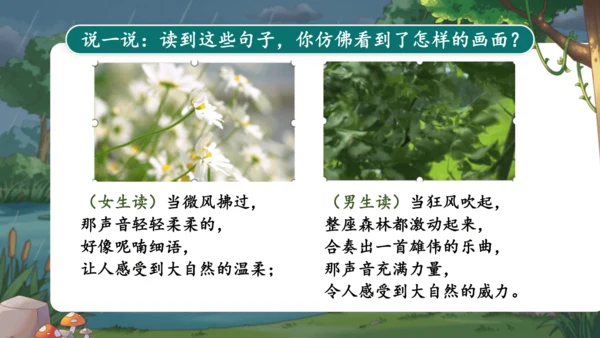 21.《大自然的声音》 课件（2课时）
