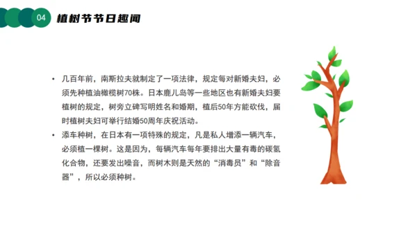 3月12日植树节知识介绍主题活动班会课件通用PPT模板