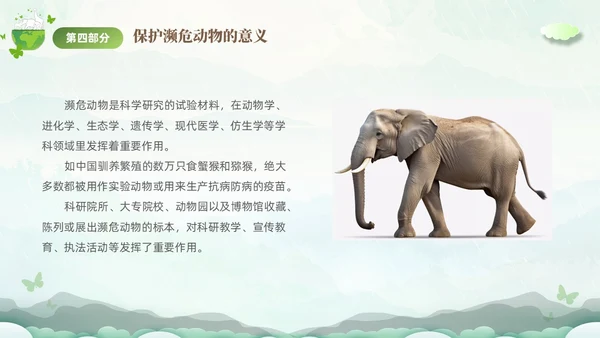 绿色清新剪纸风保护濒危动物拯救美好生命主题PPT世界动物日