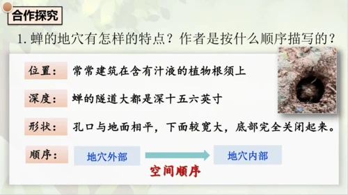 21《蝉》课件