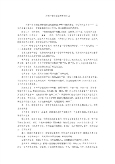 关于六年级徐盛的暑假日记