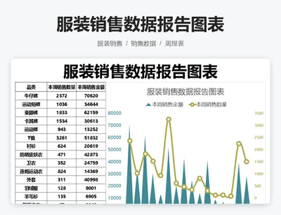 服装销售数据报告图表