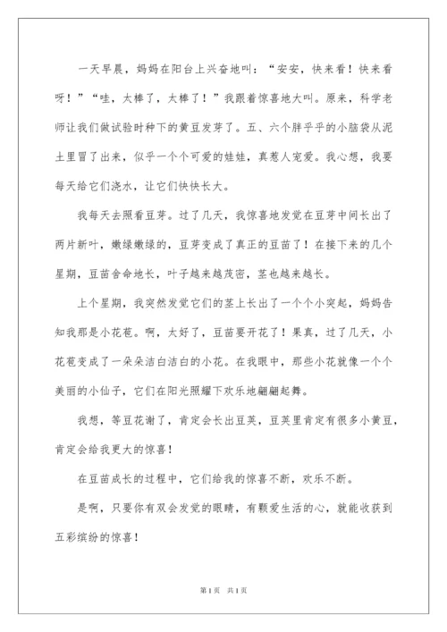 2022以惊喜为话题作文_1.docx