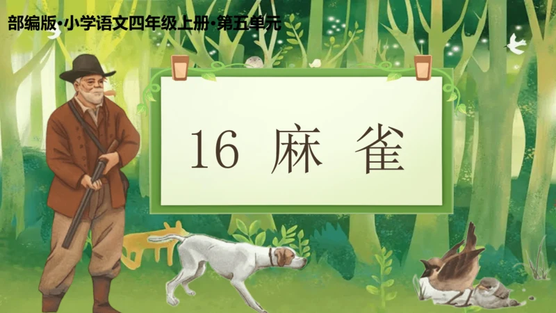 16 麻雀   课件