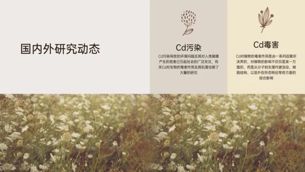 水稻农业植物品种研究和进展通用PPT模板
