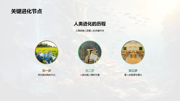探索生物演化历程