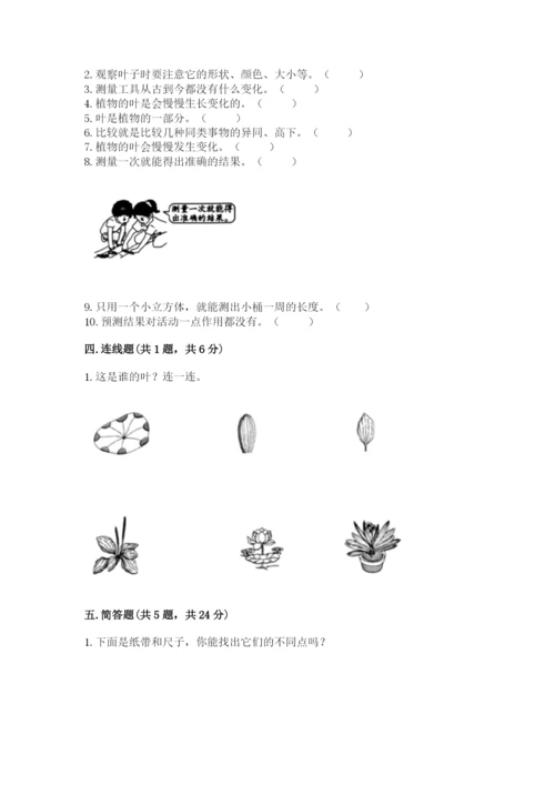 教科版一年级上册科学期末测试卷附答案ab卷.docx