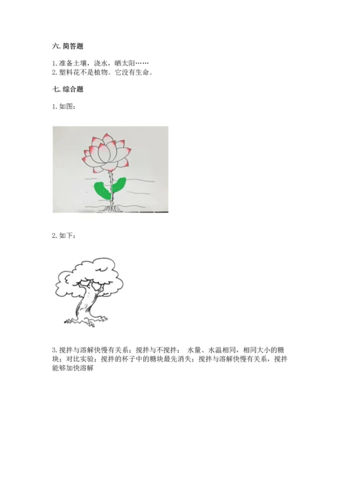 教科版科学一年级上册第一单元《植物》测试卷及1套完整答案.docx