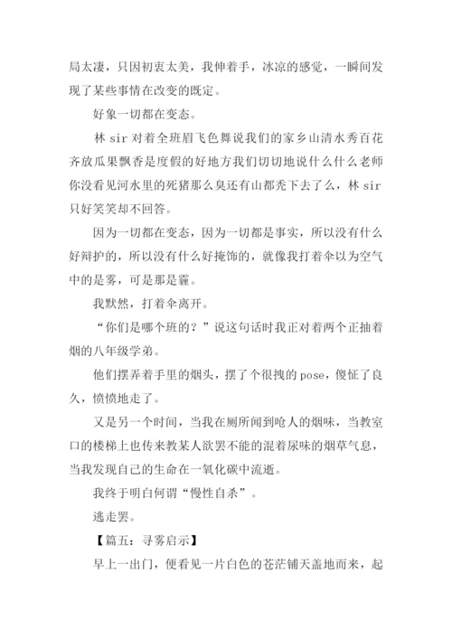 寻雾启示作文.docx