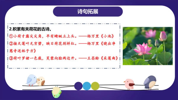 统编版2023-2024学年一年级语文上册单元复习第四单元（复习课件）